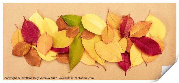 Colourful autumn dry leaves Print by Lana Topoleva