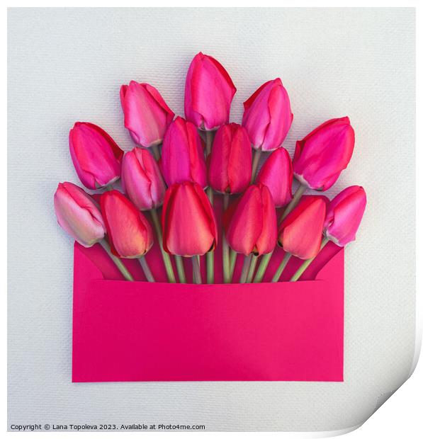  bouquet of  pink and red tulips in an envelope Print by Lana Topoleva