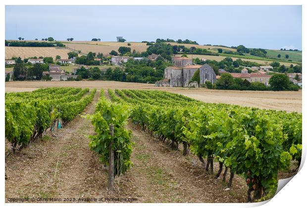 French Abbey in Charente with vineyards Print by Chris Mann