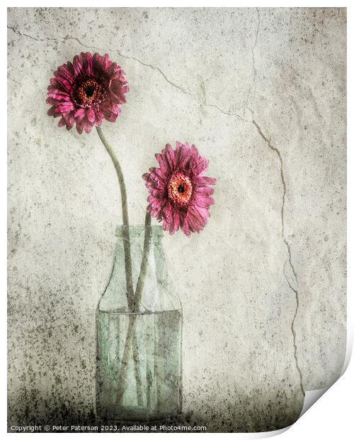 Two Flowers in Bottle Print by Peter Paterson