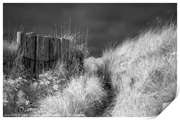 Coastal Path Print by Peter Paterson