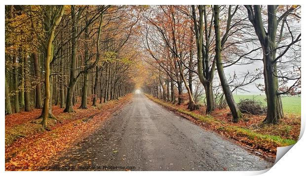 Scottish Country Road  Print by Lowercase b Studio 