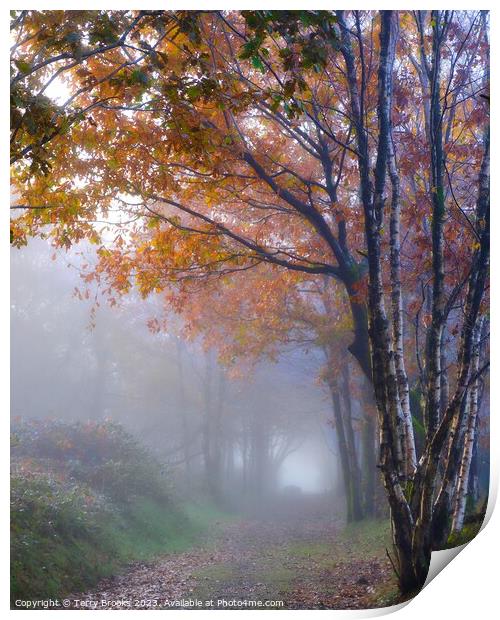 A Beautiful Warm Misty Autumn Woodland in Wales Print by Terry Brooks