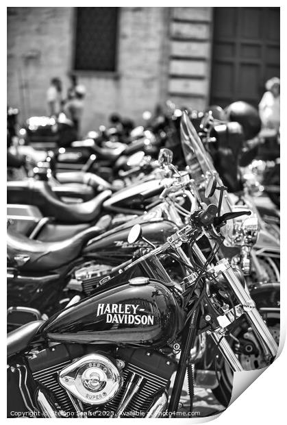 Row of parked Harley motorcycles Print by Stefano Senise