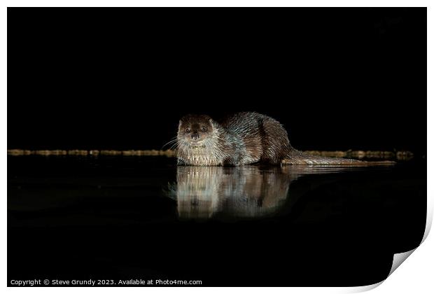 The Mysterious Otter Glimpse Print by Steve Grundy