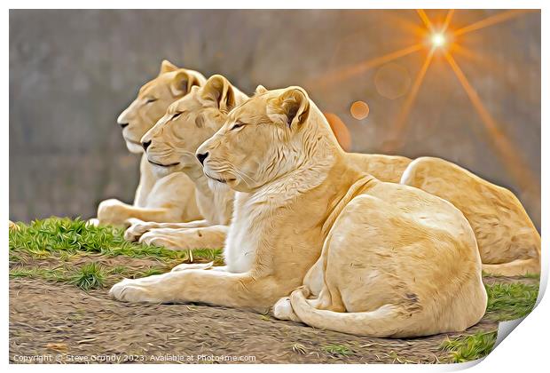 Serene Lionesses / Lions - Photo with Digital Unde Print by Steve Grundy
