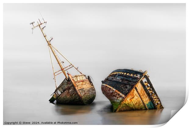 Fine Art View of Abandoned Boats on the Banks of t Print by Steve 