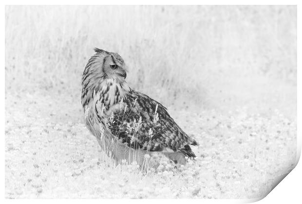 Eagle Owl in infrared Print by Andy Critchfield