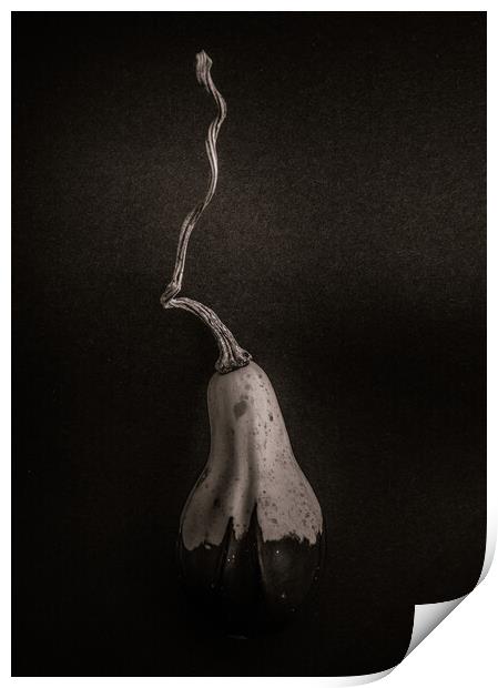 Gourds No 16 Print by Brian Carson