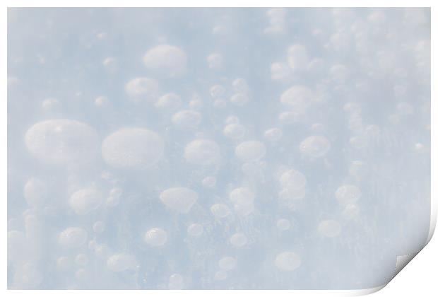 Ice Bubbles Print by Alex Fukuda