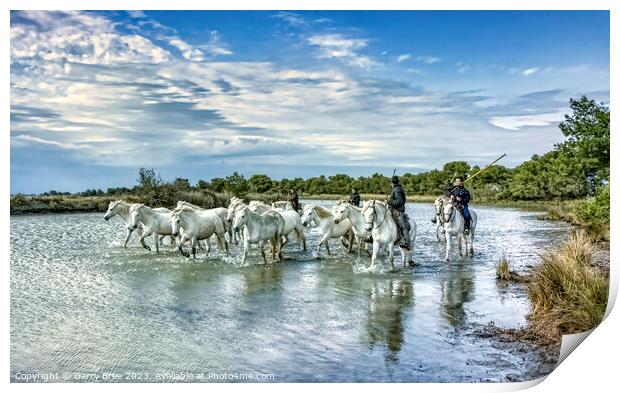 Dazzling Camargue Equines in Motion Print by Garry Bree