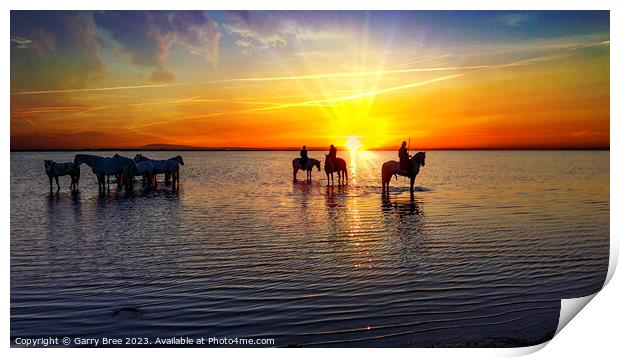 Camargue Horses at Sunrise Print by Garry Bree