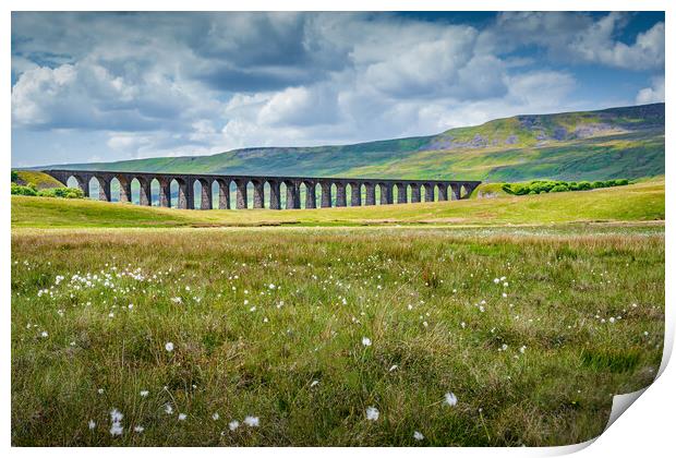 Whernside and Flowers Print by Paul Grubb