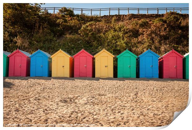 Colourful beach huts at Llanbedrog Beach Print by David Macdiarmid