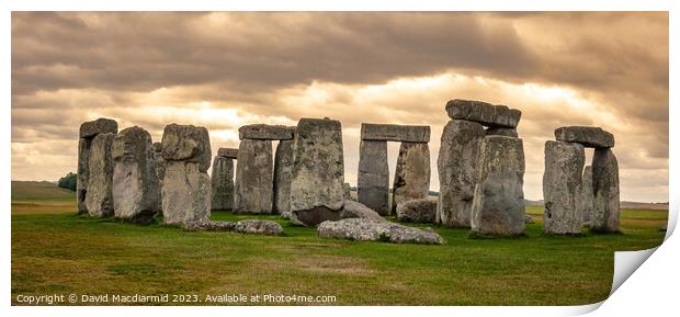 Stonehenge Panorama Print by David Macdiarmid