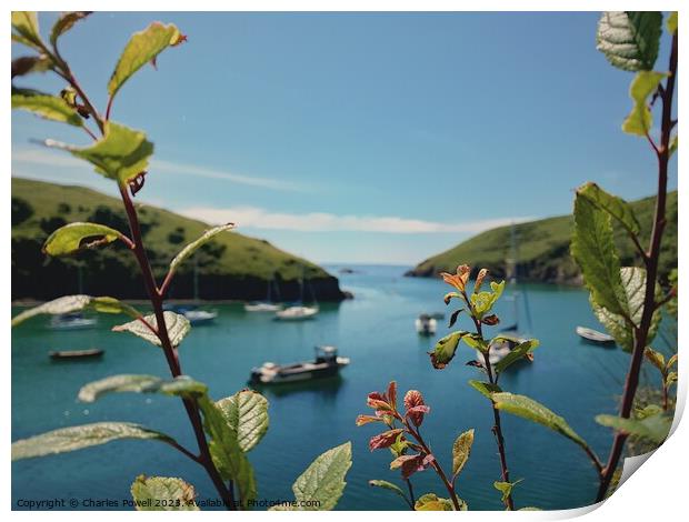 Solva harbour Pembrokeshire Print by Charles Powell