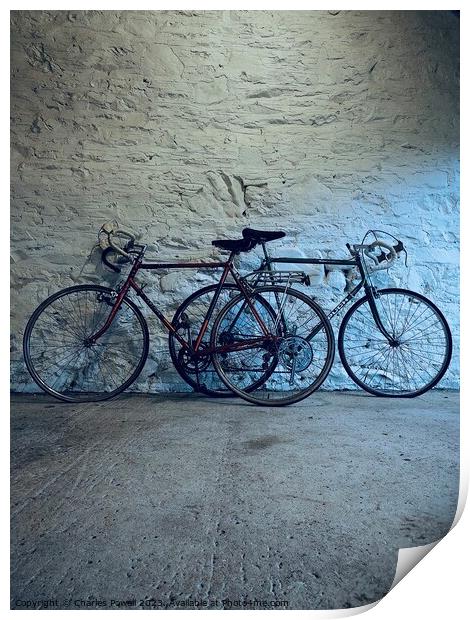 Two favourite bicycles Print by Charles Powell