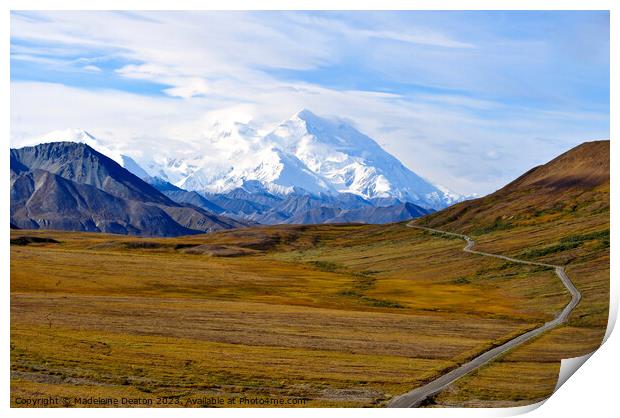 The Road to Denali in Glorious Fall Print by Madeleine Deaton