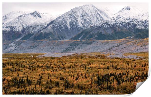 Alaska in Autumn Print by Madeleine Deaton