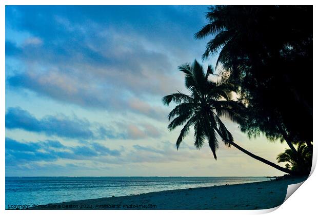 Silhouette of palm tree at dusk on a beach in Rarotonga Print by Madeleine Deaton