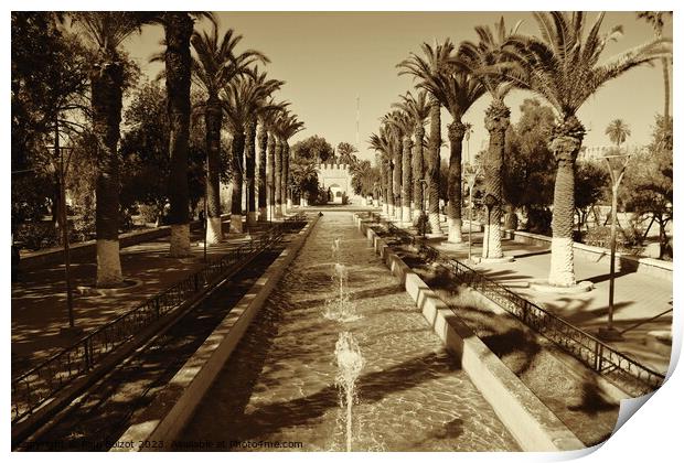 Fountains and palms, Taroudant, sepia Print by Paul Boizot