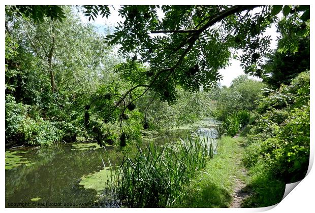 River Foss, York Print by Paul Boizot