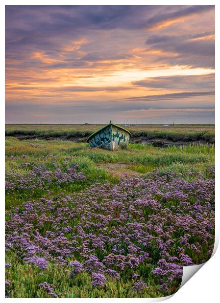 Small boat in sea lavender  Print by Bryn Ditheridge