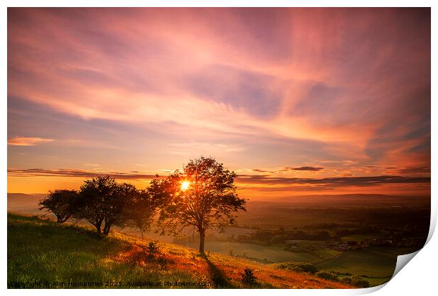 Kithurst Hill Sunset Print by Alan Humphries