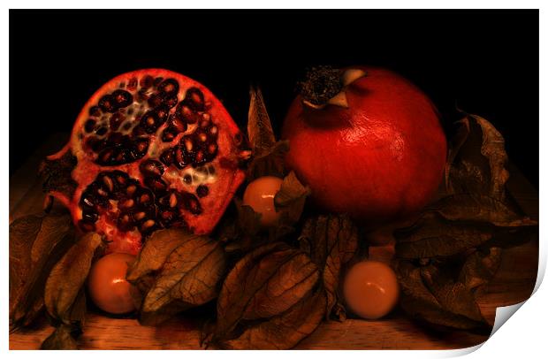 Cut Pomegranates and Physalis Print by Simon Gladwin