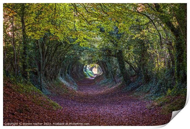 Autumn at Halnaker Tunnel Print by Steven Vacher