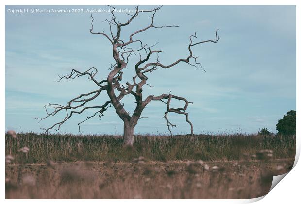Isolated Tree Print by Martin Newman