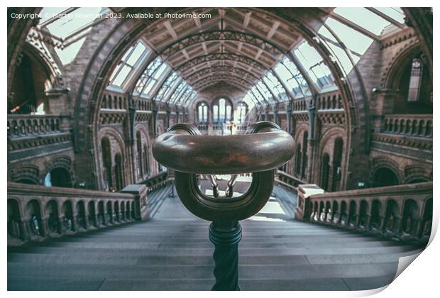 Natural History Museum Print by Martin Newman