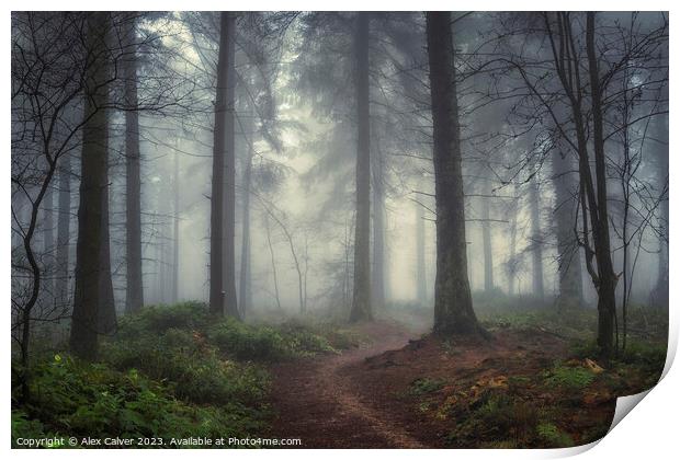 Misty Forest Pathway Print by Alex Calver