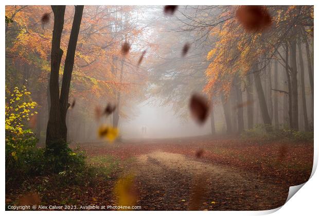 Leaves Fall Print by Alex Calver