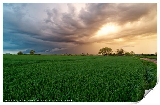 field at sunset Bardwell Print by Justin Lowe