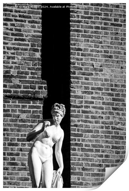 Venus and brick wall Print by Mark Phillips
