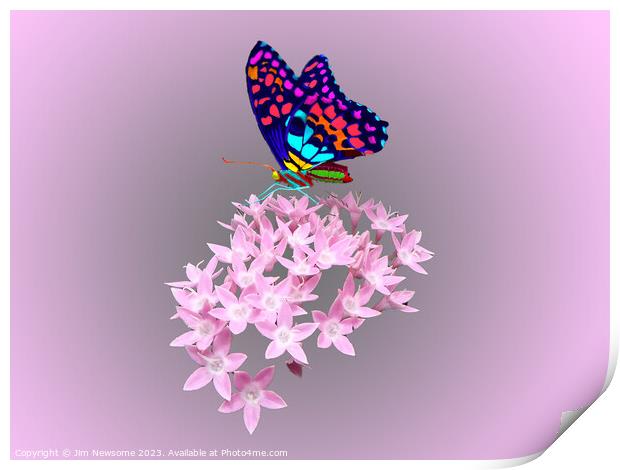 Multi Coloured Butterfly on Pink Flower Print by Jim Newsome