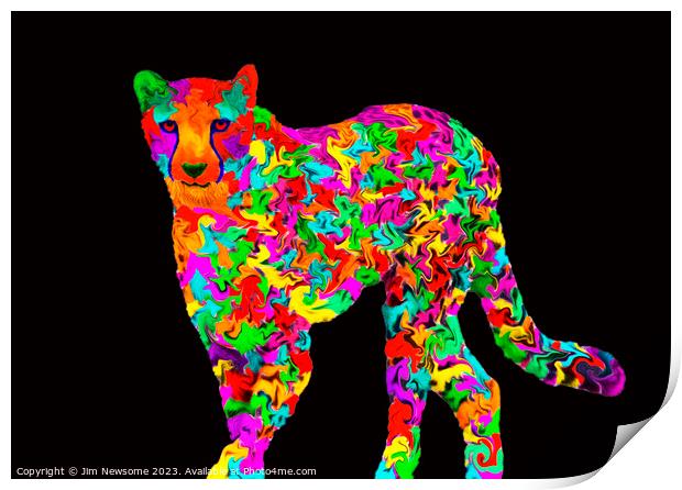 Multi coloured Cheetah Print by Jim Newsome