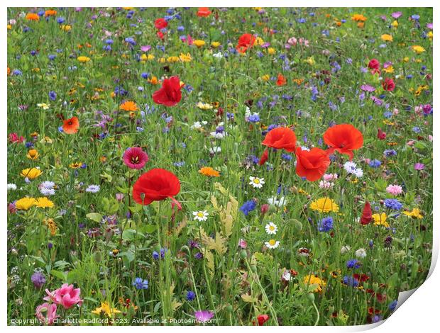 Technicolour Botanical Tapestry Print by Charlotte Radford