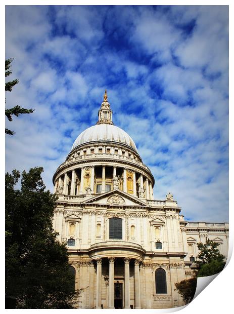 St Paul's cathedral in London and sky with clouds Print by Virginija Vaidakaviciene