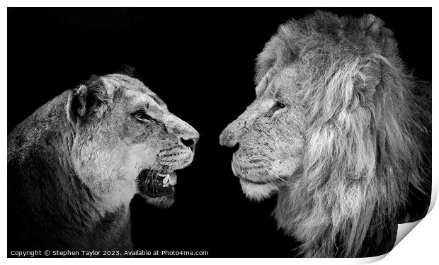 Lions  Print by Stephen Taylor
