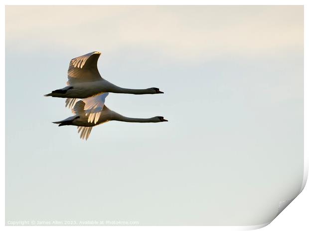 Geese Flying In Sync  Print by James Allen