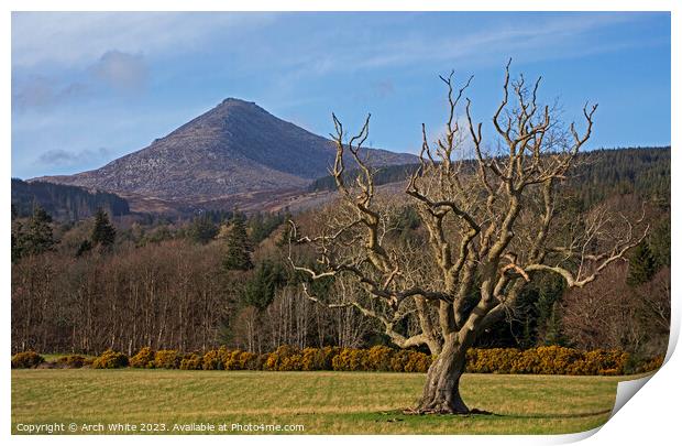 Goat Fell Mountain, Isle of Arran, North Ayrshire, Print by Arch White