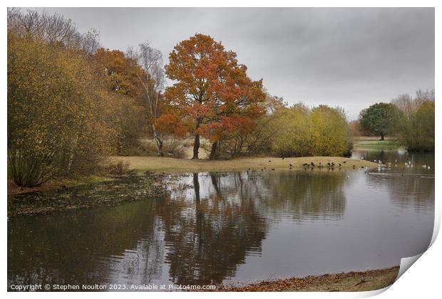 Autumn Colours - Mitcham Common Print by Stephen Noulton