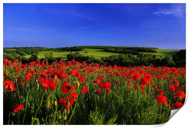 Barham Print by Stuart Chapman