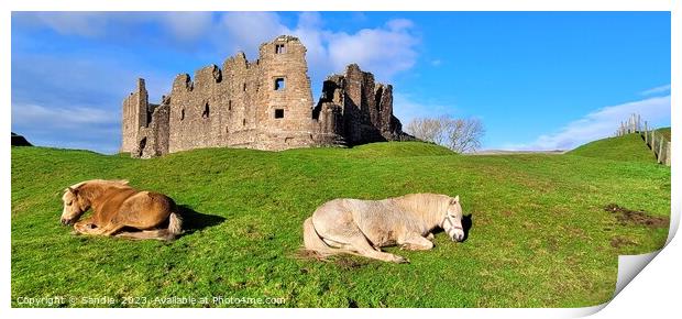 Guardians of Brough Castle, Cumbria Print by Sandie 