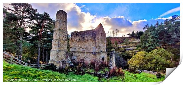 Autumn At Shildon Engine House, Blanchland Print by Sandie 