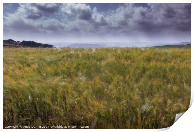Wheat in the Wind Print by Andy Durnin