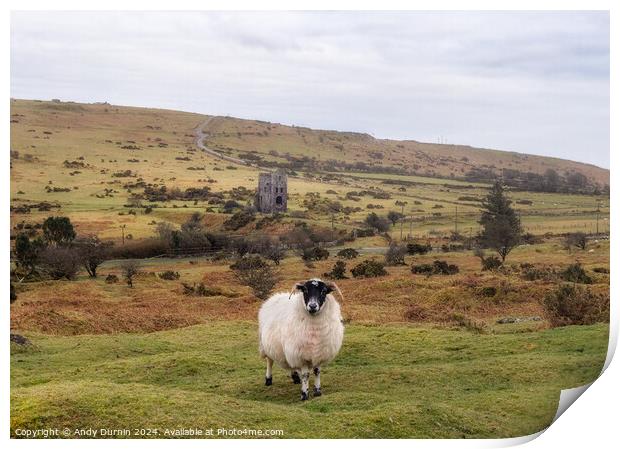 Minions Bodmin Moor Print by Andy Durnin