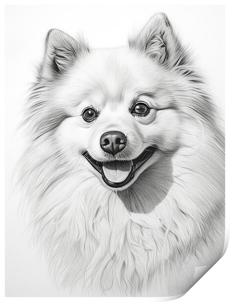 American Eskimo Dog Pencil Drawing Print by K9 Art